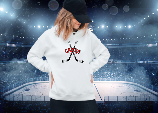 Hockey Stick 2