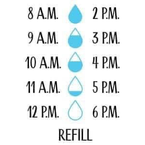 Water Cups
