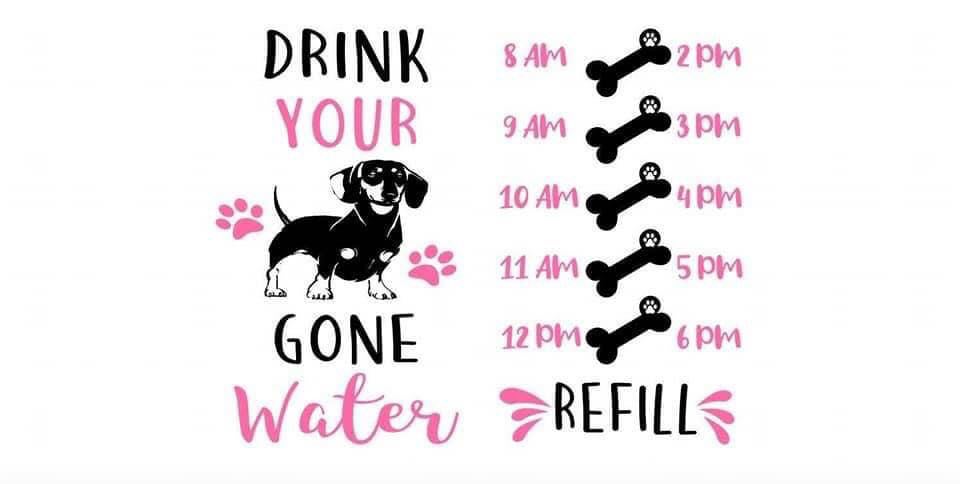 Water Cups